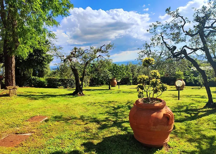 Il Palagio